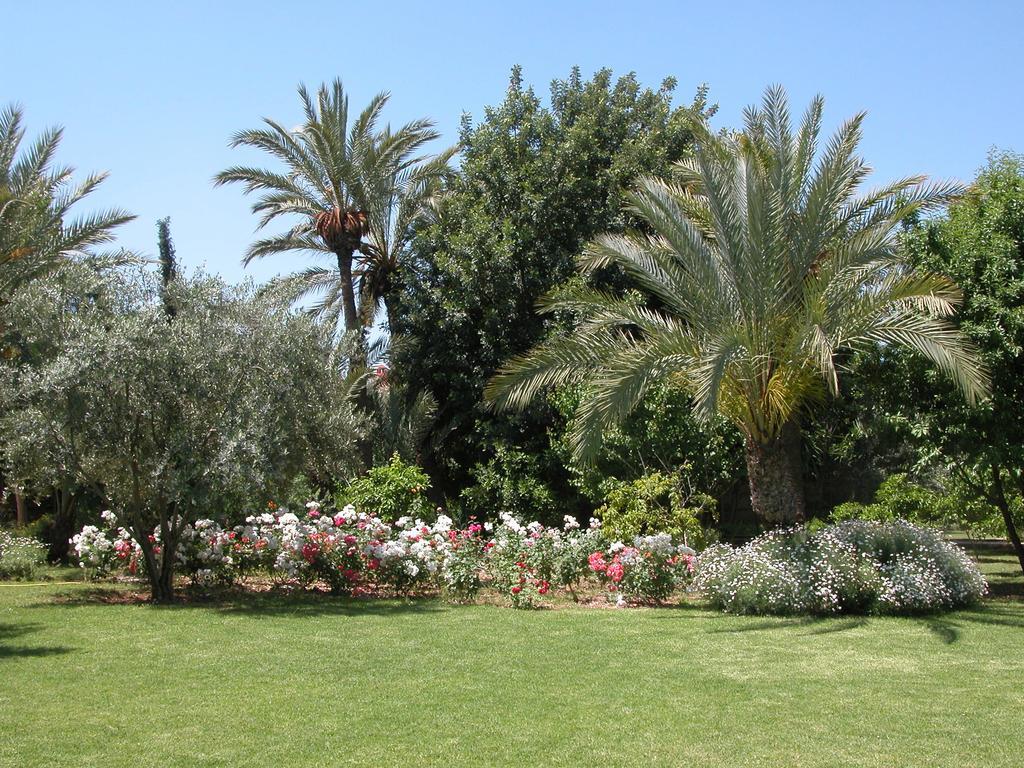 Dar Zemora Hotel Marrakesh Exterior photo